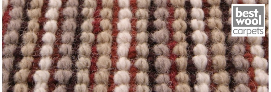 Mocheta lana Africa